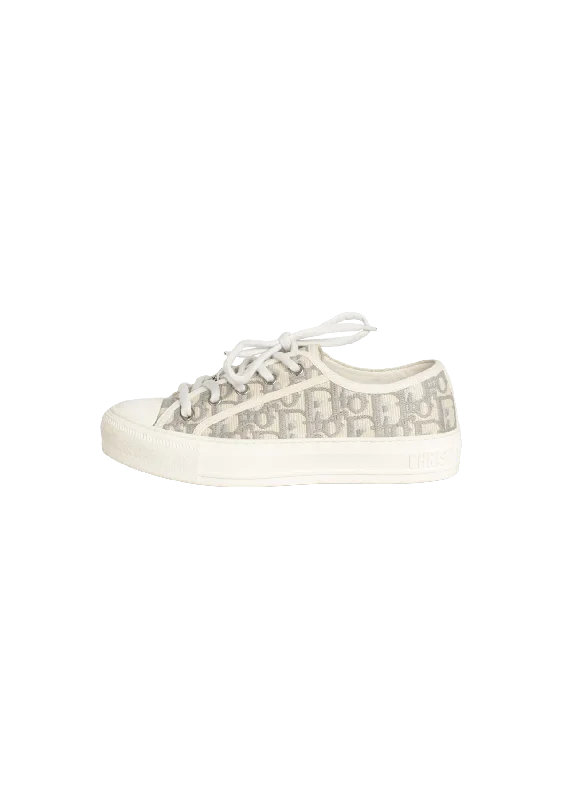 WALK IN DIOR SNEAKERS 34